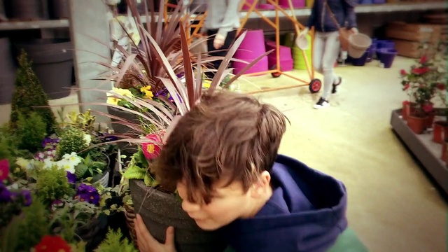 Video Reference: Flower, Plant, Photograph, Yellow, Happy, Grass, Leisure, Flower Arranging, Summer, Fun