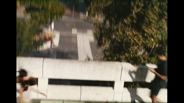 Video Reference: Plant, Grass, Window, Building, Shade, Rectangle, Tints and shades, Tree, Landscape, Leisure