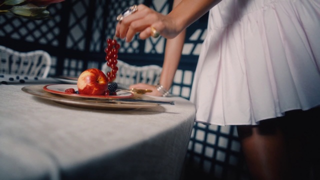 Video Reference: Food, Hand, Tableware, Table, Plate, Ingredient, Recipe, Dishware, Seafood, Cooking