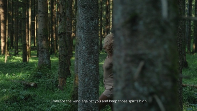 Video Reference: Plant, Terrestrial plant, Wood, Trunk, Natural landscape, People in nature, Tree, Grass, Deciduous, Temperate broadleaf and mixed forest