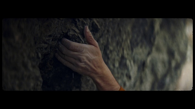 Video Reference: Flash photography, Neck, Wood, Gesture, Wrist, Tints and shades, Thumb, Grass, Sign language, Trunk