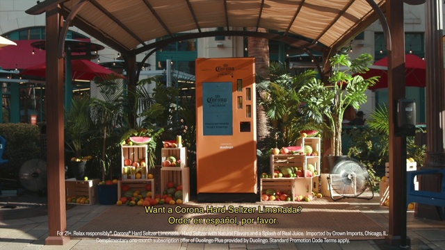 Video Reference: Orange, Plant, Shade, Door, Wood, Building, Real estate, Leisure, Flowerpot, Facade