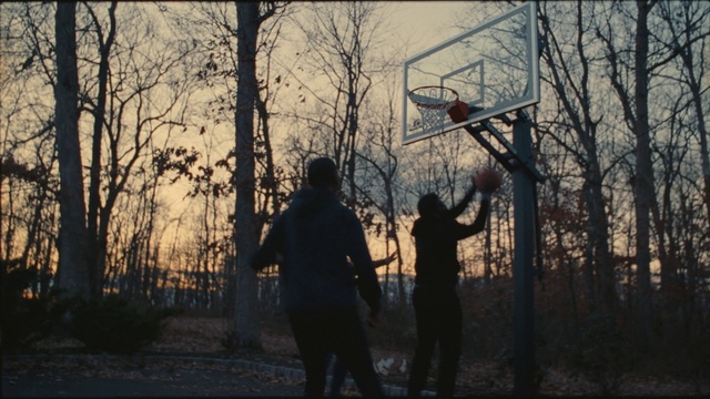 Video Reference: Basketball, Basketball hoop, Streetball, Plant, Tree, Branch, Flash photography, Basketball court, Sky, Wood