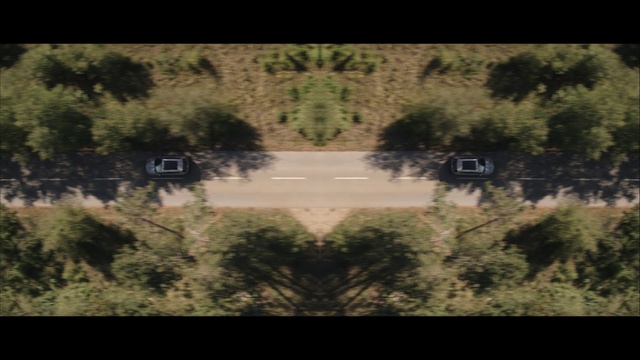 Video Reference: Ecoregion, Plant, Natural landscape, Tree, Landscape, Adaptation, Font, Grass, Tints and shades, Road