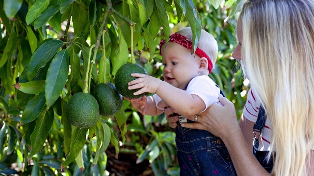 Video Reference: Plant, Arm, Food, Fruit, Leaf, Botany, Tree, Gesture, Happy, People in nature
