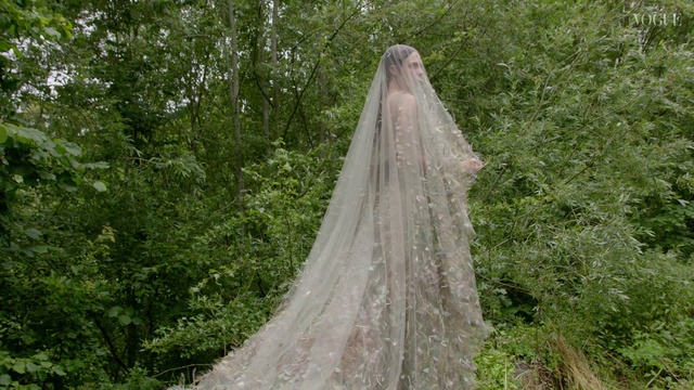 Video Reference: Plant, Tree, Wedding dress, Wood, Biome, Natural landscape, Trunk, Woody plant, Grass, Gown