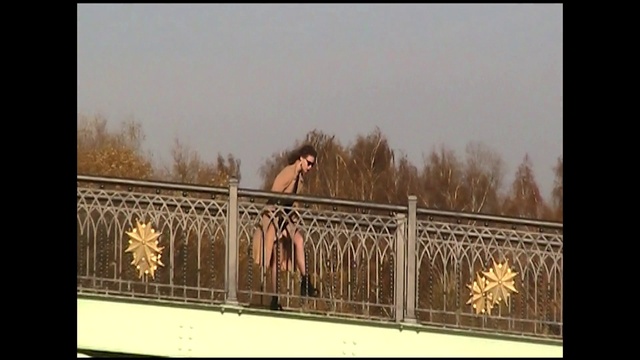 Video Reference: Horse, Sky, Wood, Tree, Fence, Rectangle, Working animal, Tints and shades, Terrestrial animal, Grass