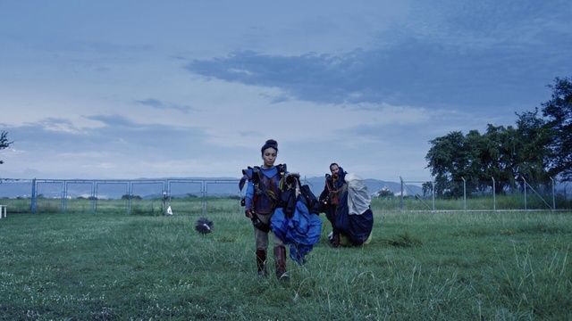 Video Reference: Sky, Cloud, Plant, Tree, People in nature, Grass, Grassland, Natural landscape, Landscape, Plain