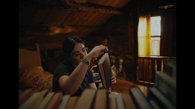 Video Reference: person, reading, book, library, indoor, window, glasses, wooden room, warm light, interior, bookshelf, quiet, study, bokeh