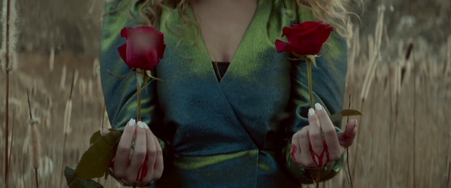 Video Reference: Flower, Lip, Hand, Plant, Petal, Leaf, Textile, Sleeve, Dress, Pink