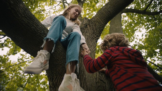 Video Reference: Clothing, Hand, Arm, Shirt, Plant, People in nature, Botany, Branch, Tree, Happy