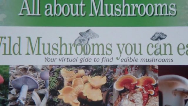Video Reference: mushrooms, book cover, guide, text, printed page, fungi, edible mushrooms, nature, reference, collage
