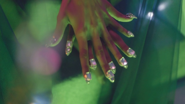 Video Reference: Flower, Water, Hand, Plant, Petal, Organism, Terrestrial plant, Gesture, Finger, Liquid