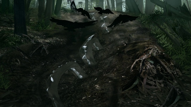 Video Reference: Plant, Wood, Biome, Terrestrial plant, Tree, Trunk, Forest, Natural landscape, Landscape, Grass