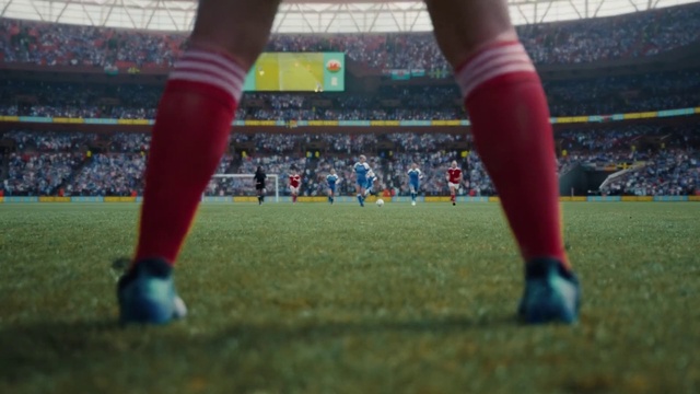 Video Reference: Sports equipment, Player, Plant, Ball game, Football, Sky, Fan, Grass, Sports, Competition event