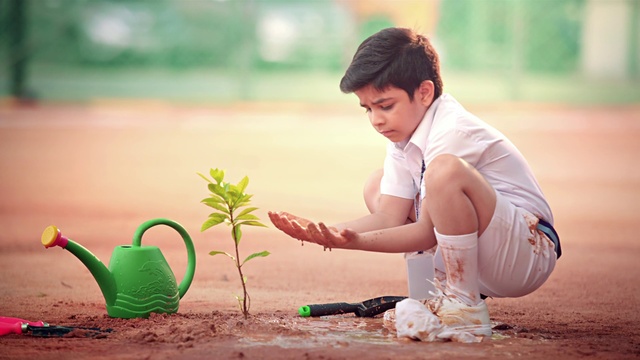 Video Reference: Plant, People in nature, Green, Nature, Happy, Grass, Flash photography, Morning, Leisure, Terrestrial plant
