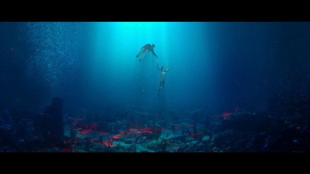 Video Reference: Water, Blue, Underwater, Organism, Underwater diving, Marine biology, Aqua, Electric blue, Entertainment, Reef