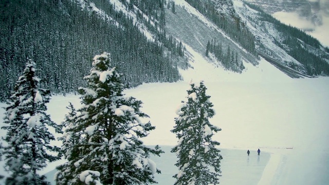 Video Reference: Snow, Mountain, Nature, Larch, Slope, Tree, Biome, Natural landscape, Atmospheric phenomenon, Ice cap