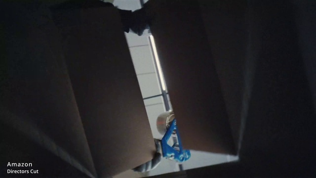 Video Reference: Tints and shades, Building, Space, Wood, Ceiling, Electric blue, Event, Shade, Darkness, Rectangle