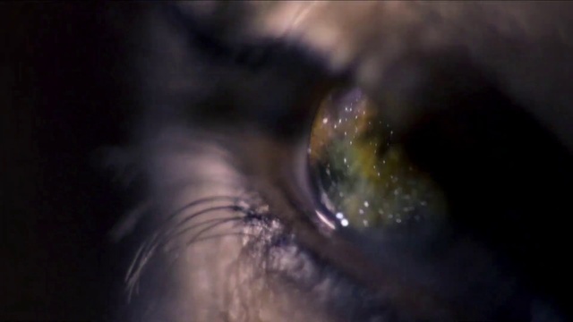 Video Reference: Eyelash, Sky, Human body, Iris, Plant, Tree, Circle, Astronomical object, Electric blue, Midnight