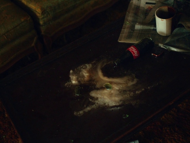 Video Reference: Brown, Wood, Tableware, Flooring, Floor, Coffee cup, Dog breed, Drinkware, Hardwood, Carnivore