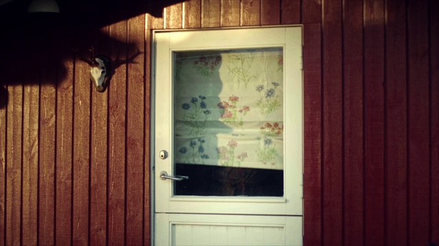 Video Reference: Plant, Door, Window, Building, Leaf, Wood, Fixture, Rectangle, Wood stain, House