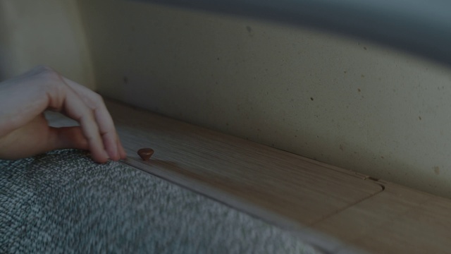 Video Reference: Wood, Flooring, Floor, Wood stain, Hardwood, Varnish, Plywood, Shelf, Ceiling, Pattern