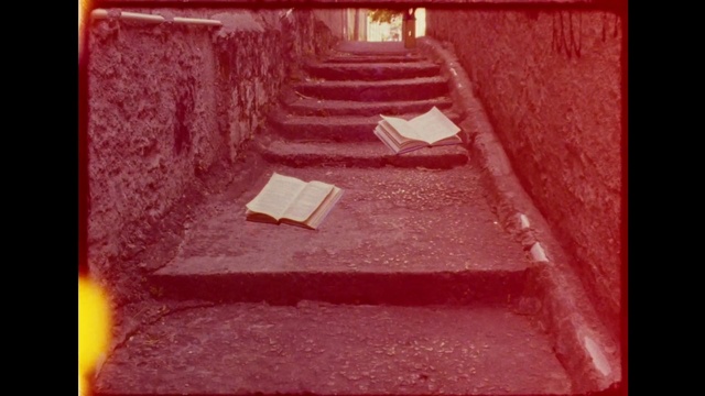 Video Reference: Rectangle, Pink, Stairs, Red, Wood, Magenta, Tints and shades, Brick, Carmine, Font