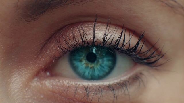 Video Reference: Brown, Photograph, Eye, Eyelash, Light, Organ, Blue, Azure, Vision care, Iris