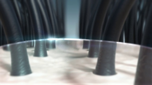 Video Reference: Automotive tire, Wood, Tints and shades, Art, Font, Glass, Water, Transparent material, Metal, Rim