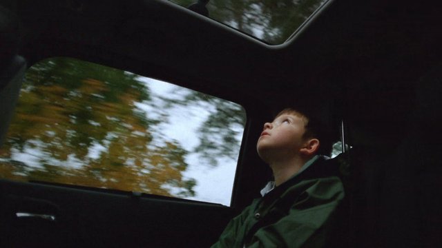 Video Reference: car interior, boy, back seat, window, moving vehicle, trees, blurred motion, child, looking up, travel, daytime, seat