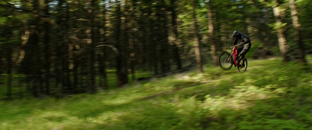 Video Reference: Bicycle, Wheel, Tire, Land vehicle, Bicycles--Equipment and supplies, Bicycle wheel, Plant, Bicycle frame, Vehicle, Sports equipment