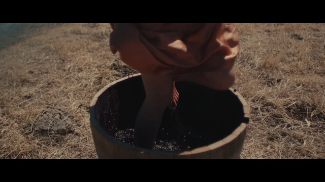 Video Reference: Flash photography, Jaw, Dress, Eyelash, Happy, Eyewear, Grass, People in nature, Tints and shades, Human leg
