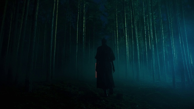 Video Reference: Atmosphere, Plant, Nature, People in nature, Natural landscape, Tree, Atmospheric phenomenon, Fog, Terrestrial plant, Landscape