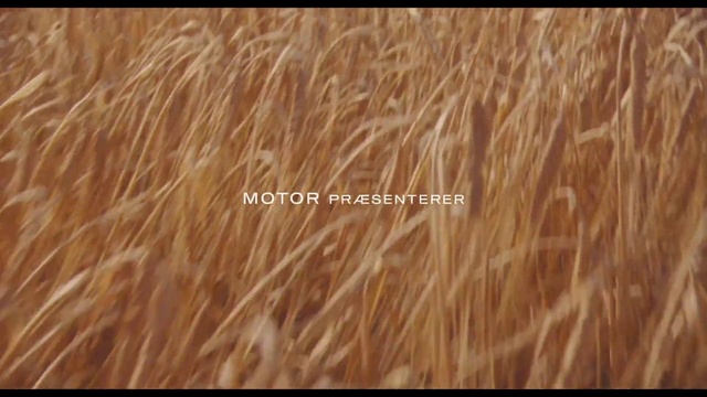 Video Reference: Hair, Plant, Wood, Wood stain, Grass, Liver, Agriculture, Flooring, Font, Natural landscape