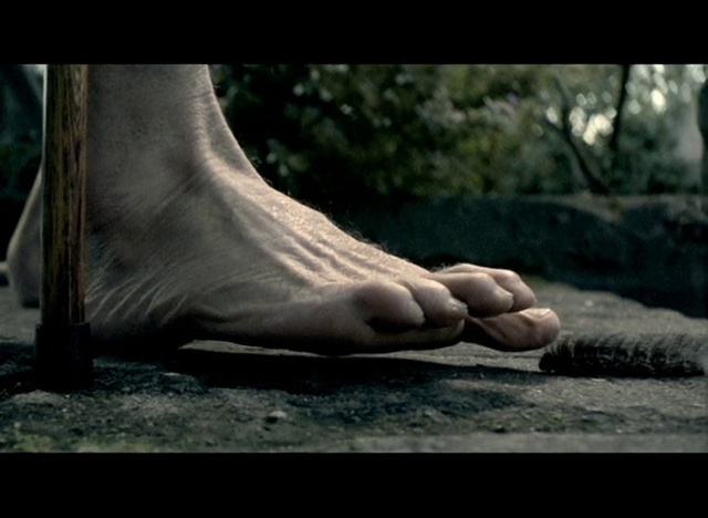 Video Reference: Plant, People in nature, Tree, Human body, Wood, Knee, Dress, Gesture, Trunk, Grass