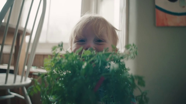 Video Reference: Plant, Window, Eyebrow, Eye, Iris, Wood, Sunlight, House, Grass, Happy