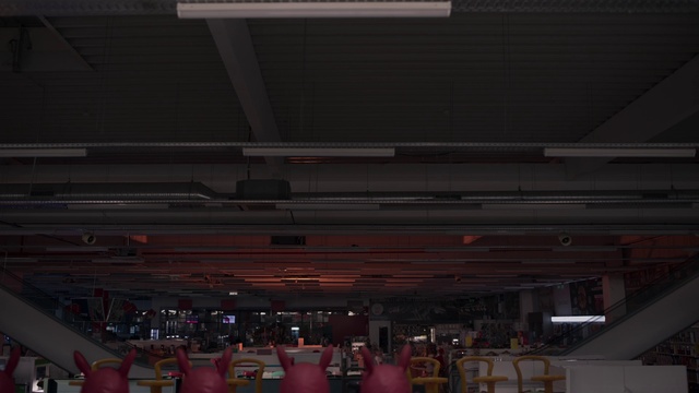 Video Reference: Chair, Event, Wood, Ceiling, Arena, Audience, Sport venue, Performing arts center, Musical instrument accessory, Crowd