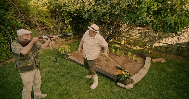 Video Reference: Plant, Hat, Botany, Flower, Sun hat, People in nature, Tree, Grass, Shrub, Flowerpot