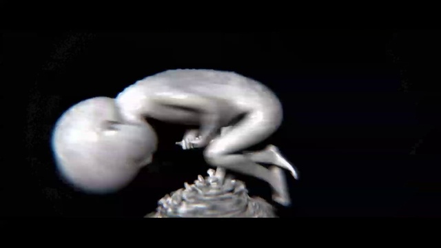 Video Reference: Gesture, Flash photography, Plant, Beak, Body jewelry, Font, Jewellery, Petal, Event, Electric blue