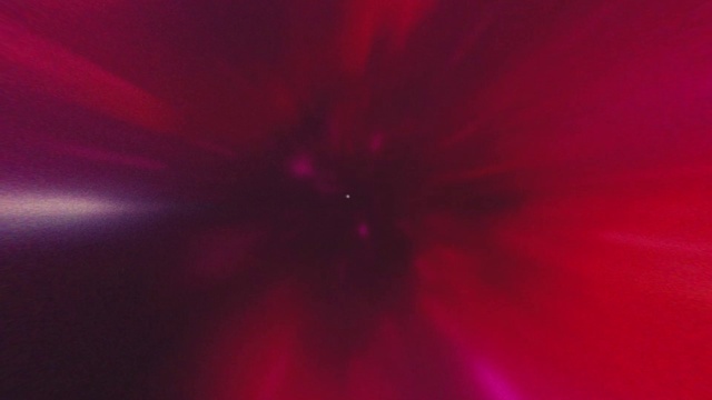 Video Reference: Flower, Plant, Petal, Magenta, Flowering plant, Tints and shades, Terrestrial plant, Annual plant, Art, Peach