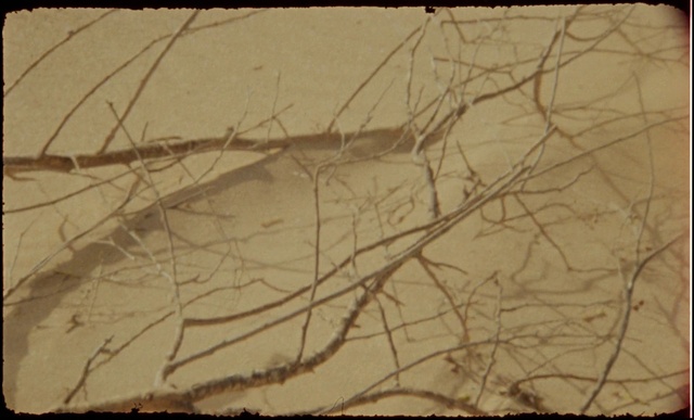 Video Reference: Brown, Rectangle, Twig, Wood, Trunk, Plant, Tints and shades, Art, Font, Pattern