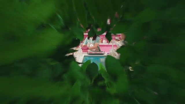 Video Reference: Watercraft, Leaf, Plant, Vehicle, Wheel, Grass, Automotive wheel system, Toy, Flag, Entertainment