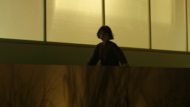 Video Reference: Wood, Tints and shades, Darkness, Shade, Sky, Event, Room, Shadow, Flooring, Backlighting