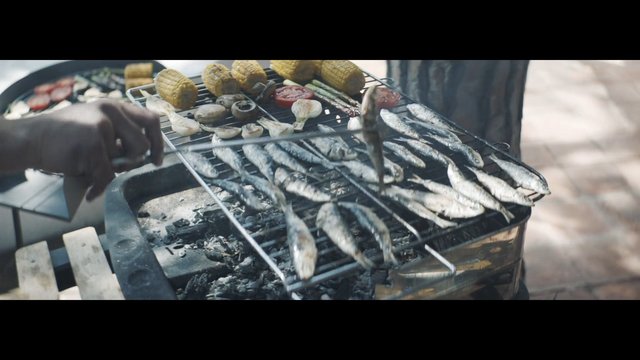 Video Reference: grill, barbecue, outdoor cooking, fish, corn, vegetables, charcoal, food, cooking, close-up, hand, skewer, bbq, summer, meal, street food