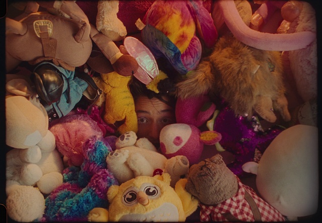 Video Reference: Toy, Organism, Pink, Art, Stuffed toy, Plush, Wool, Teddy bear, Sweetness, Event