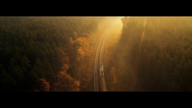 Video Reference: Water, Atmosphere, Plant, Natural landscape, Wood, Sunlight, Atmospheric phenomenon, Tree, Grass, Font