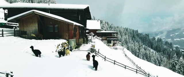 Video Reference: Snow, Sky, Building, Cloud, Slope, Tree, House, Window, Freezing, Glacial landform