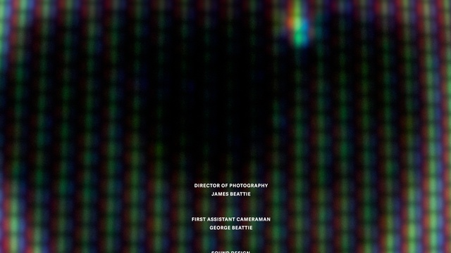 Video Reference: Colorfulness, Font, Pattern, Electric blue, Terrestrial plant, Tartan, Plaid, Magenta, Graphics, Symmetry