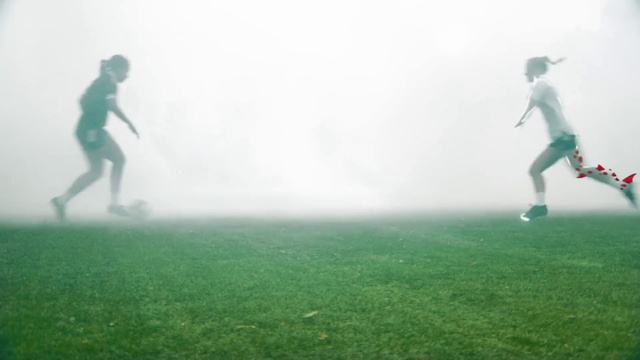Video Reference: Atmosphere, Green, Light, People in nature, Sky, Player, Grass, Atmospheric phenomenon, Grassland, Team sport